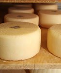 Pressebild - Che Chaschöl (Ziegenhalbhartkäse im Käsekeller)